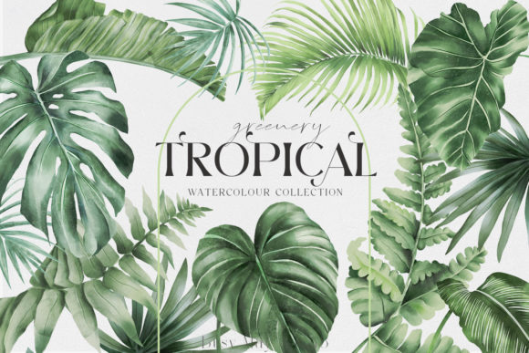 Download Tropical Greenery Jungle Rainforest PNG - Greenery Collection