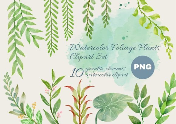 Download Watercolor Foliage Plants Clipart Set - Plant Collection